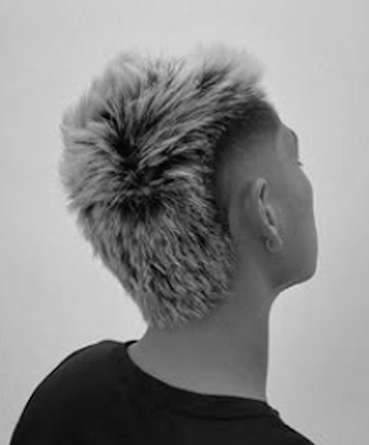 Diseño creativo de cabello, vista posterior, La Estelar.